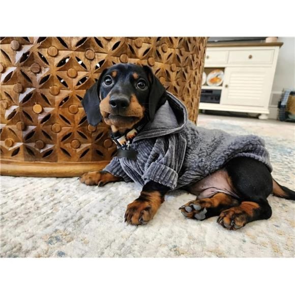 Velvet Thermal Dog Coat Puppy Winter Clothes Pet Jacket Cat Hoodie Outfits - Picture 5 of 7